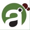 Alpha-Associates-Tanzania-Limited-Jobs-in-Tanzania-100x100_849.jpg