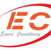 Expert-Consultancy-Jobs-in-Tanzania-100x100_502.png