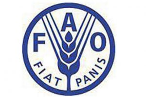 FAO_499.jpg