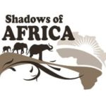 Shadows_80.jpg