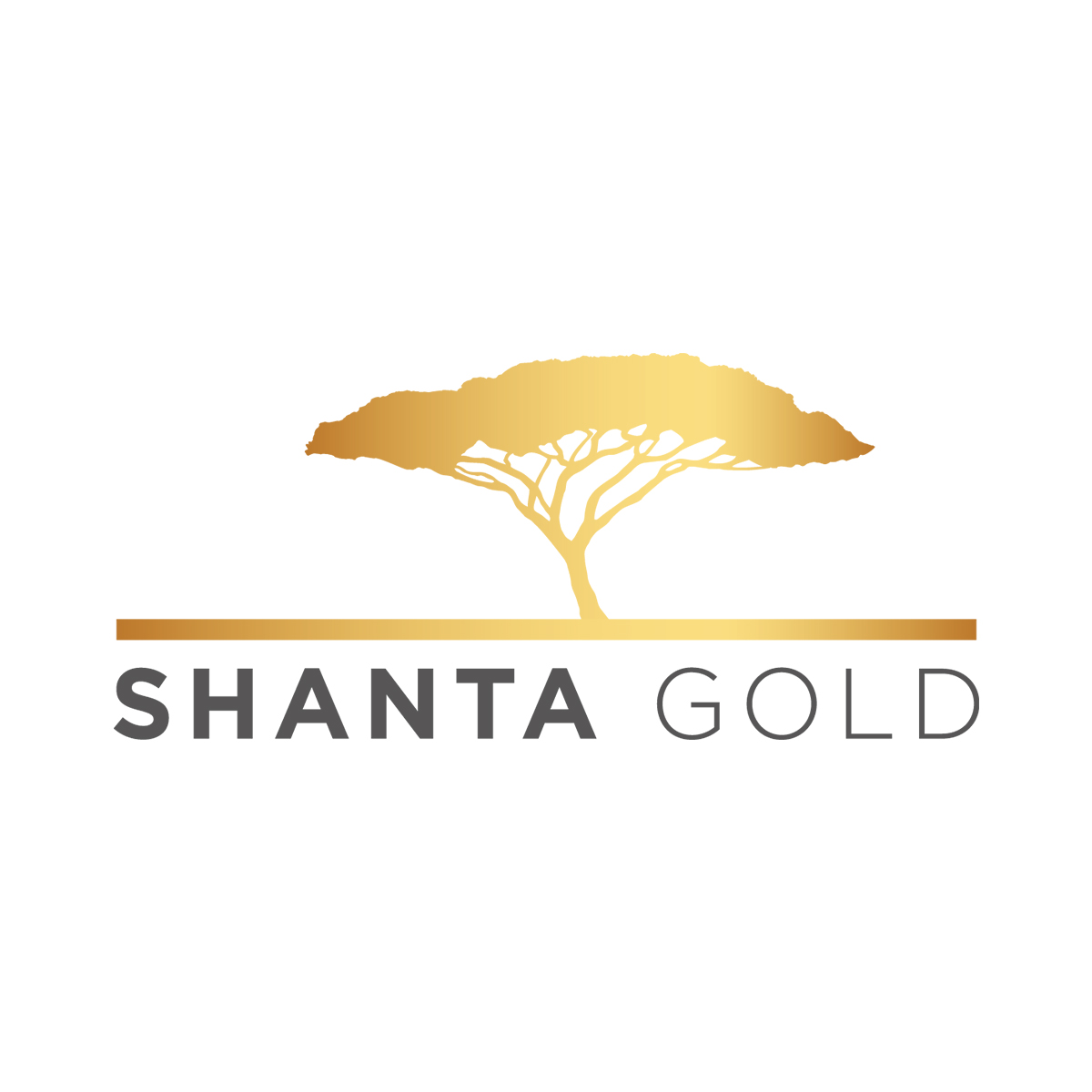 Shanta-Gold_27.jpg