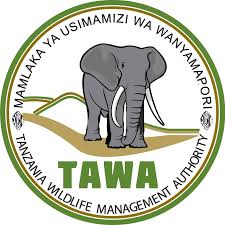 TAWA)_573.jpeg