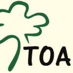 TOAM_258.png